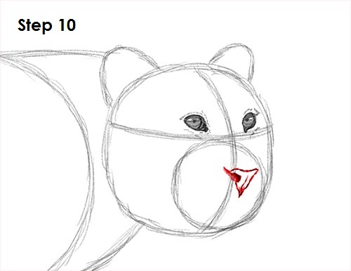Draw a Leopard 10