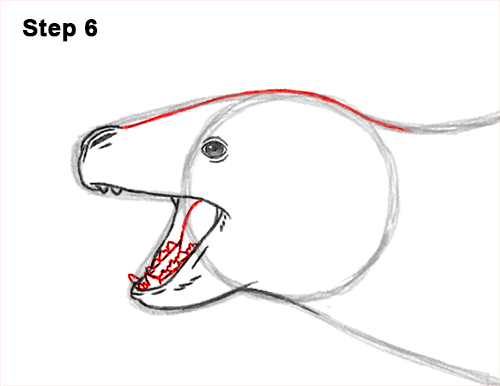Draw a Leopard Seal Drawing 6 How to Draw a Sea Leopard Seal Side View 6