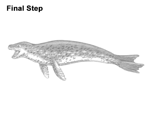 Draw a Leopard Seal Drawing How to Draw a Sea Leopard Seal Side View