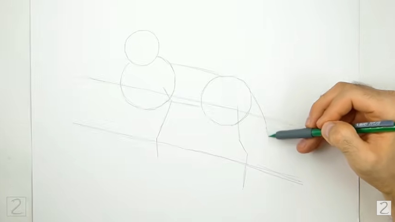 Draw Leopard Initial Sketch How to Draw Leopard Guidelines