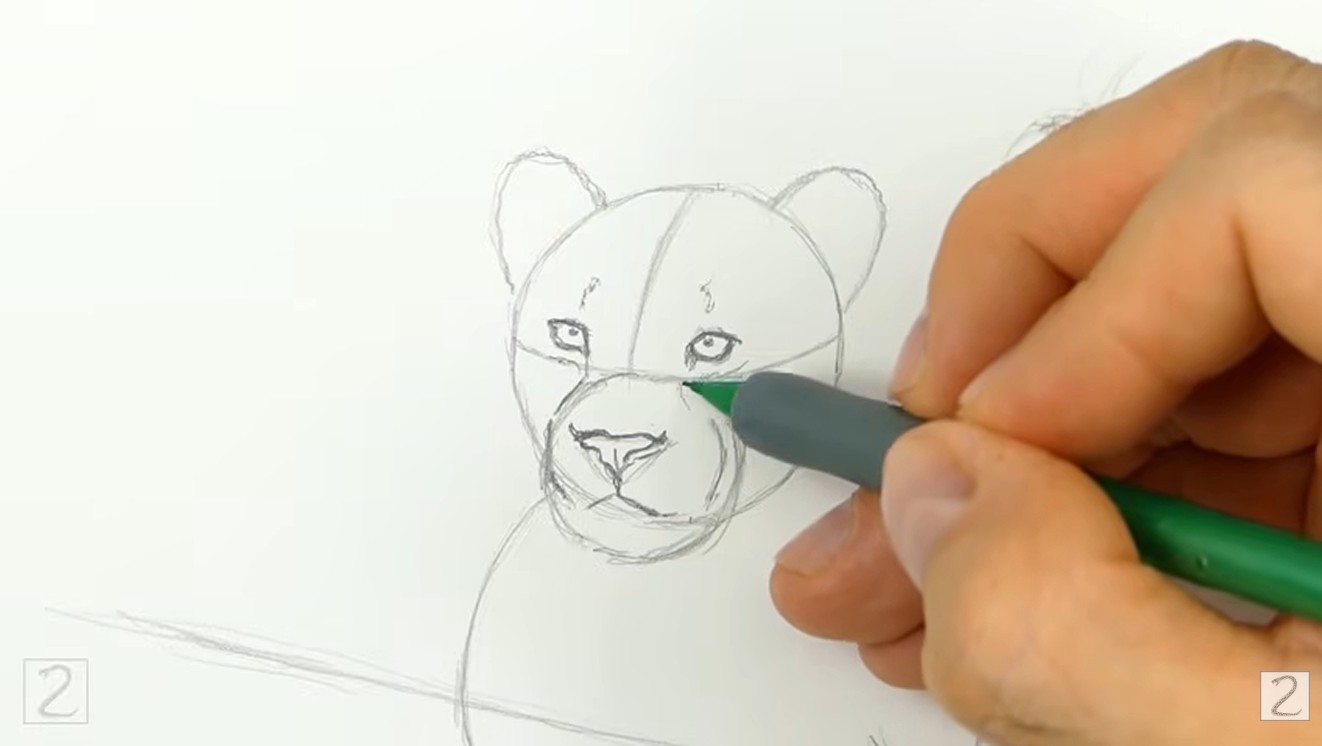 Draw Leopard Face Details How to Draw Leopard Facial Features