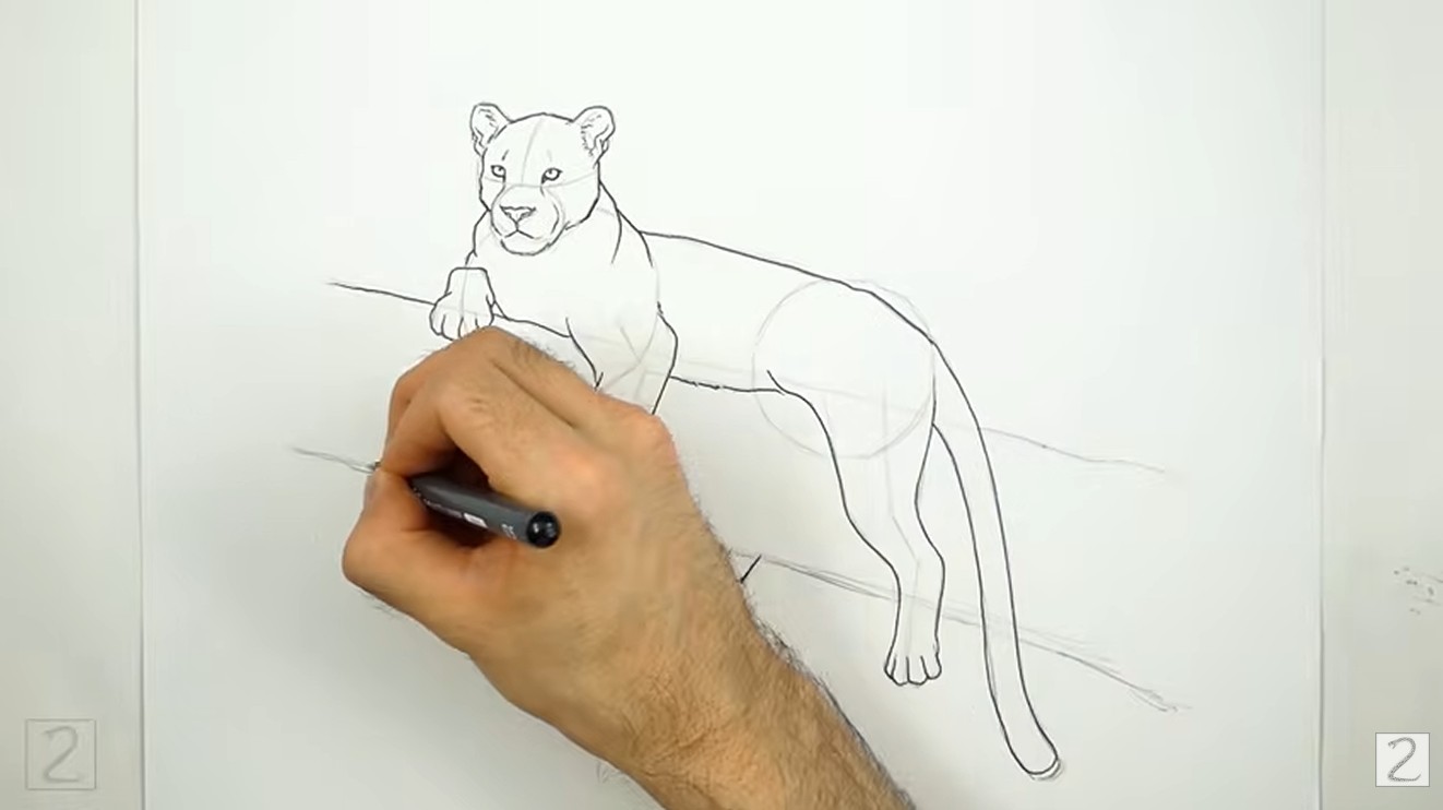 Ink Leopard Drawing How to Ink a Leopard
