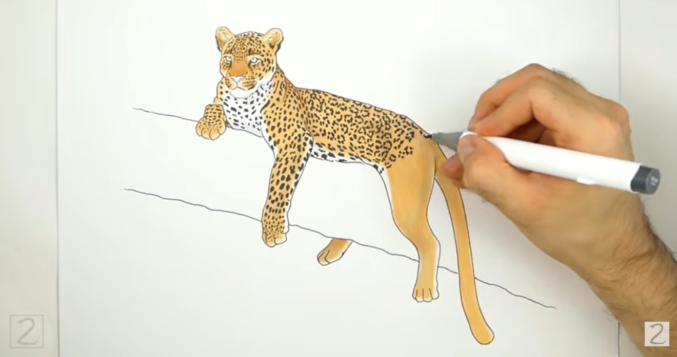 Color and Spots Phase 1 Start Adding Colors and Spots to Leopard
