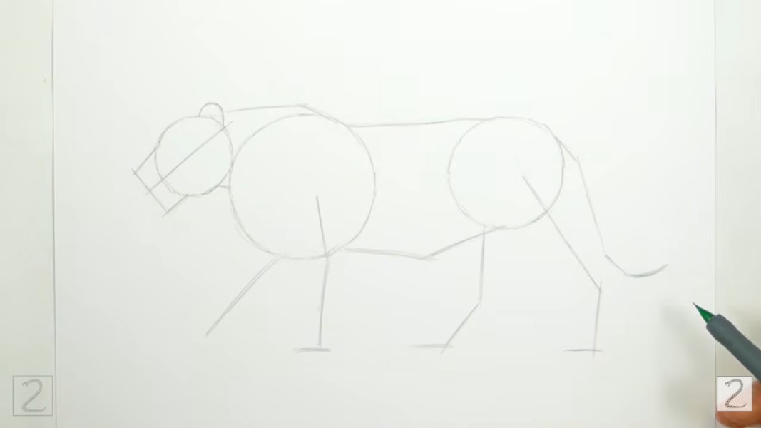 Draw Lion Initial Guidelines How to Draw a Lion Guidelines Sketch