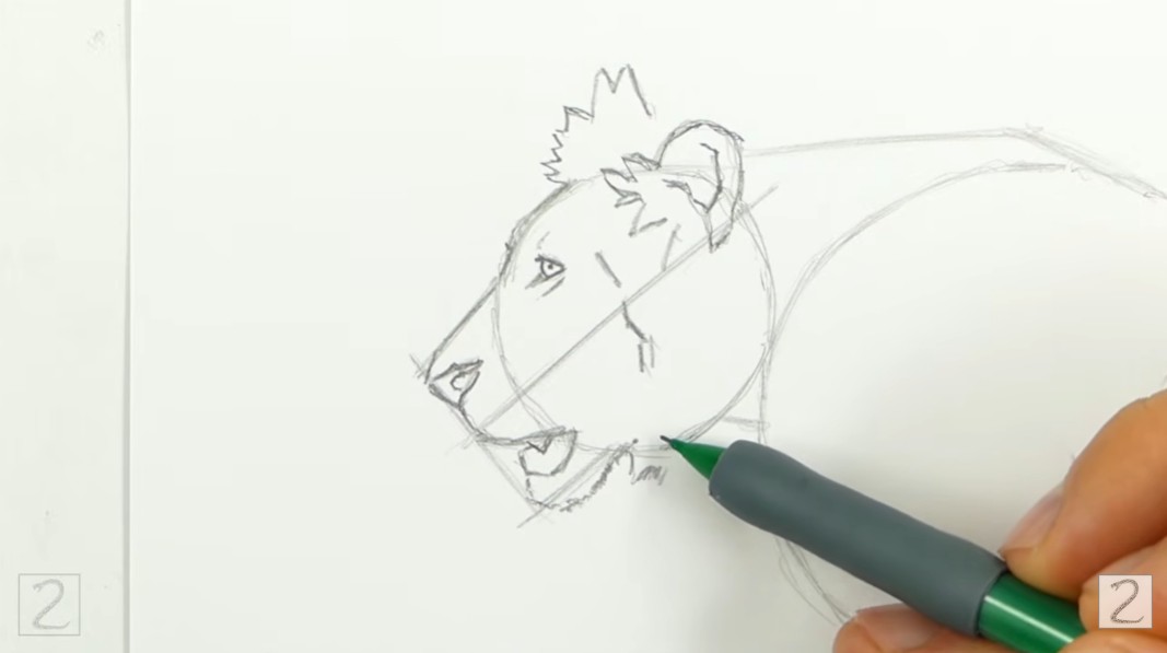 Draw Lion Facial Features How to Draw a Lion Facial Features