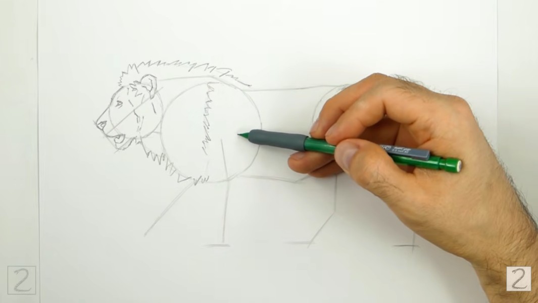 Draw Lion Mane How to Draw a Lion Mane