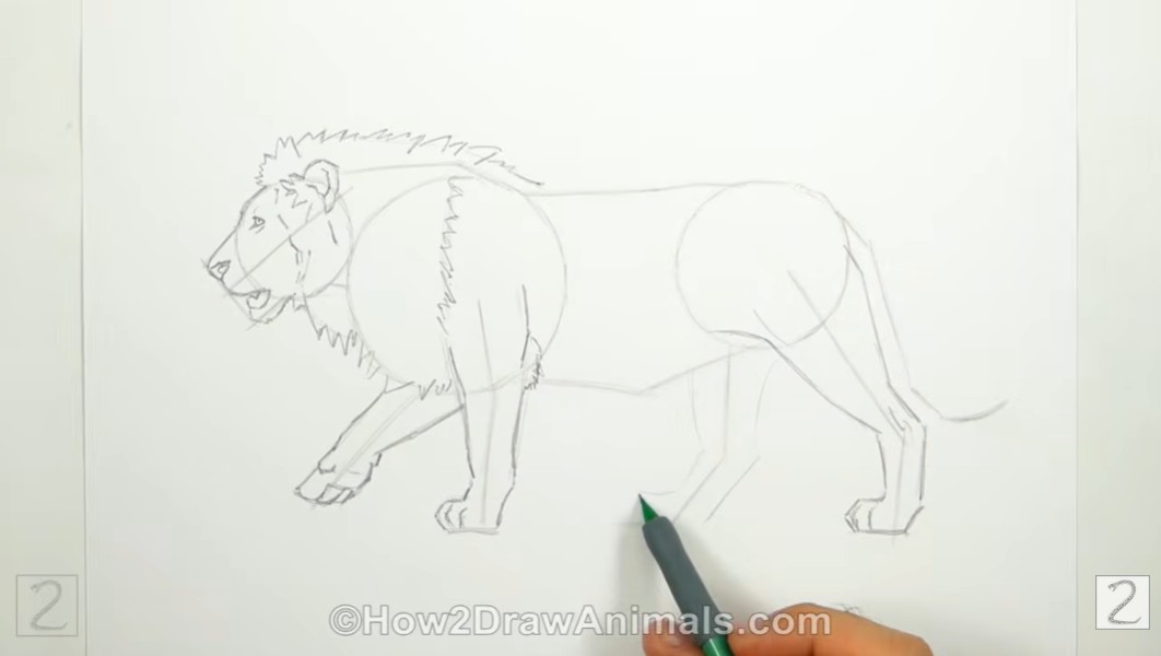 Draw Lion Front Legs and Feet How to Draw Lion Front Legs