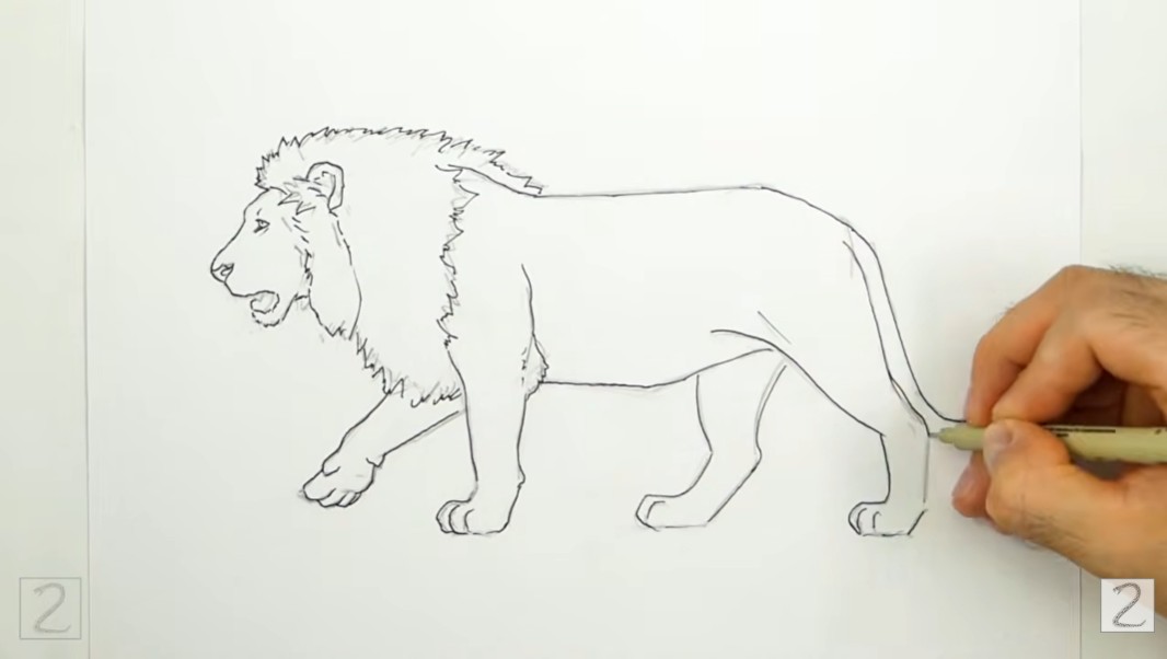 Erase Guidelines and Ink Your Sketch Erase Lion Guidelines and Ink