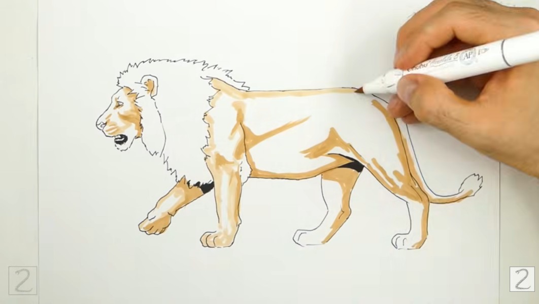 Begin Adding Color Begin Coloring Lion