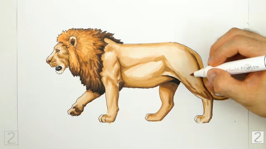 Finish Coloring and Add Grass Finish Coloring Lion and Add Grass
