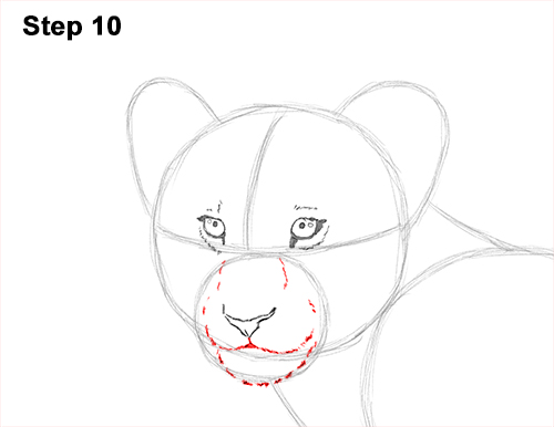 Lion Cub Drawing 10 Draw Lion Cub 10