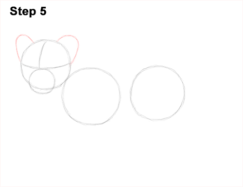 Lion Cub Drawing 5 Draw Lion Cub 5