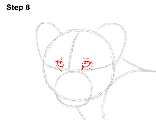 Lion Cub Drawing 8 Draw Lion Cub 8