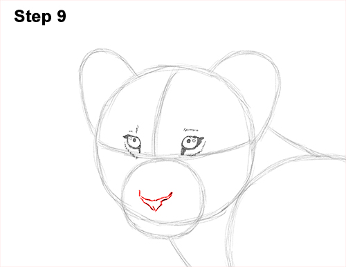 Lion Cub Drawing 9 Draw Lion Cub 9