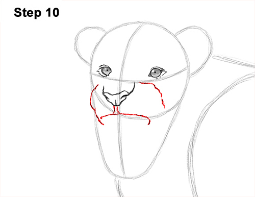 Lion Roaring Drawing 10 Draw Roaring Lion 10
