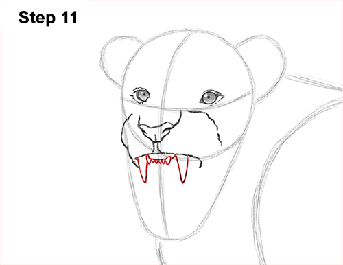 Lion Roaring Drawing 11 Draw Roaring Lion 11