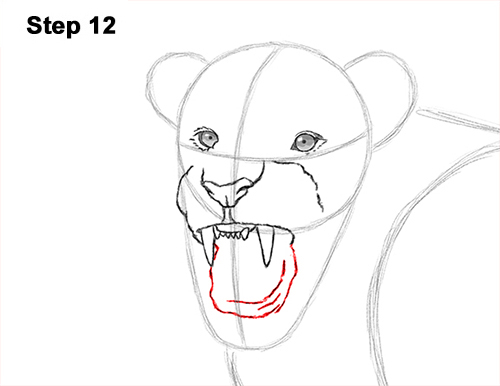 Lion Roaring Drawing 12 Draw Roaring Lion 12