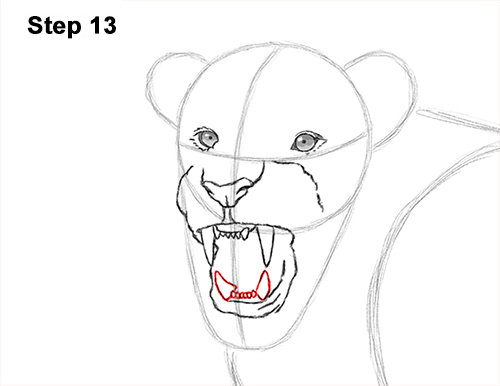 Lion Roaring Drawing 13 Draw Roaring Lion 13