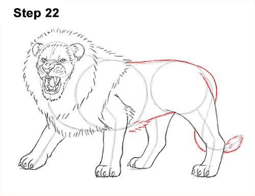 Lion Roaring Drawing 22 Draw Roaring Lion 22