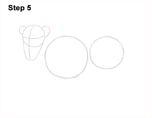 Lion Roaring Drawing 5 Draw Roaring Lion 5