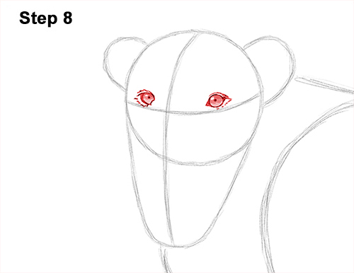 Lion Roaring Drawing 8 Draw Roaring Lion 8