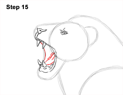 Draw a Lion Roaring Color 15 How to Draw a Lion Roar Roaring Side Color 15