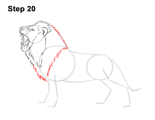 Draw a Lion Roaring Color 20 How to Draw a Lion Roar Roaring Side Color 20