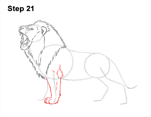 Draw a Lion Roaring Color 21 How to Draw a Lion Roar Roaring Side Color 21