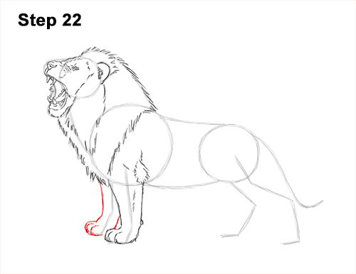 Draw a Lion Roaring Color 22 How to Draw a Lion Roar Roaring Side Color 22