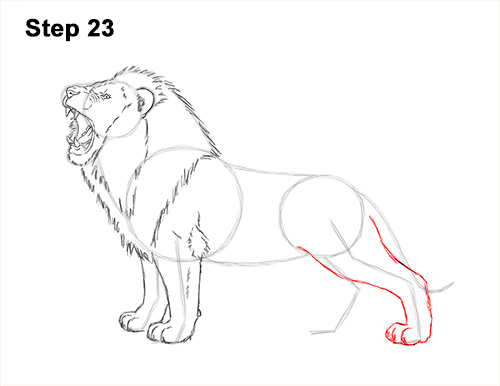 Draw a Lion Roaring Color 23 How to Draw a Lion Roar Roaring Side Color 23