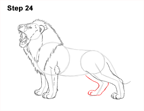 Draw a Lion Roaring Color 24 How to Draw a Lion Roar Roaring Side Color 24