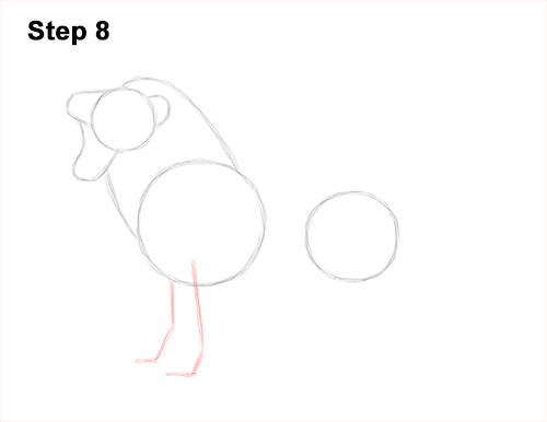 How to Draw a Lion Roar Roaring Side Color 8