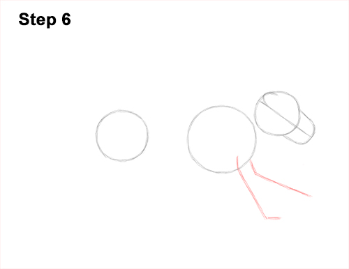 Draw Lion Running Side 6 How to Draw Male Lion Running Side 6