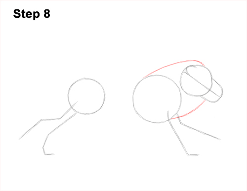Draw Lion Running Side 8 How to Draw Male Lion Running Side 8