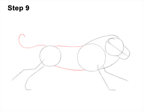 Draw Lion Running Side 9 How to Draw Male Lion Running Side 9