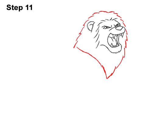Draw a Cartoon Lion Roaring 11 How to Draw Tough Cool Angry Cartoon Lion Roaring 11