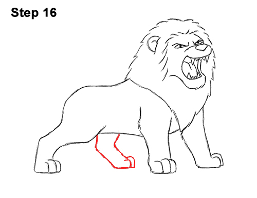 How to Draw Tough Cool Angry Cartoon Lion Roaring 16