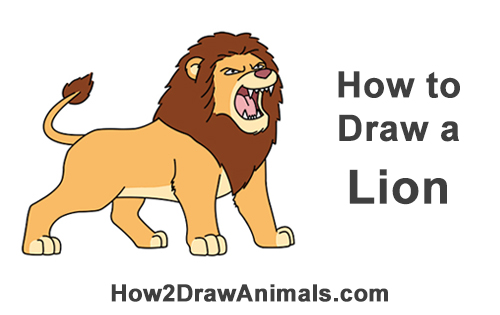 Draw a Cartoon Lion Roaring How to Draw Tough Cool Angry Cartoon Lion Roaring