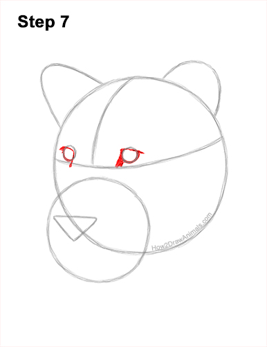 How to Draw a Lioness Head Face Portrait 7
