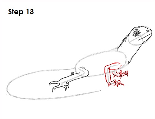 Draw Lizard 13