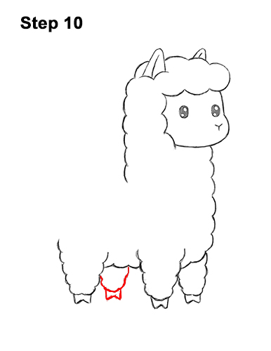 How to Draw Cute Cartoon White Llama 10