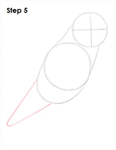 Draw Lovebird 5