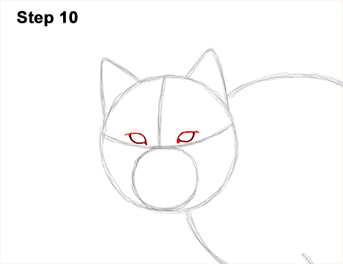 Draw Canadian Lynx 10 How to Draw Canada Lynx Cat Bobcat Wildcat 10