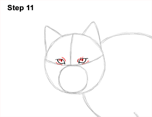 Draw Canadian Lynx 11 How to Draw Canada Lynx Cat Bobcat Wildcat 11