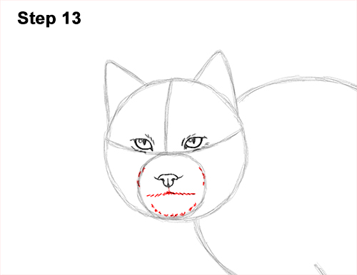 Draw Canadian Lynx 13 How to Draw Canada Lynx Cat Bobcat Wildcat 13