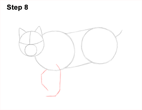 Draw Canadian Lynx 8 How to Draw Canada Lynx Cat Bobcat Wildcat 8
