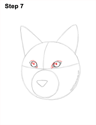 Draw a Lynx Head Portrait 7 How to Draw a Lynx Bobcat Head Face Portrait 7