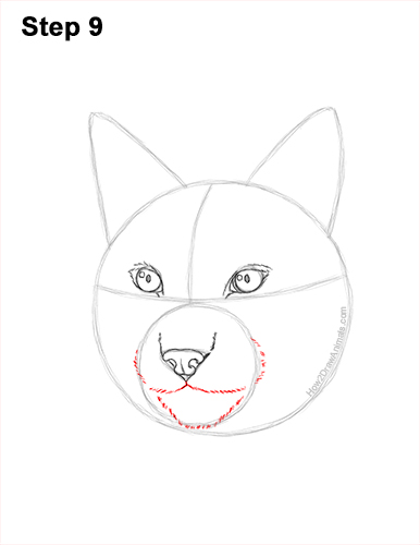 Draw a Lynx Head Portrait 9 How to Draw a Lynx Bobcat Head Face Portrait 9