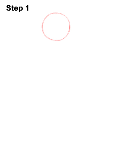 How to Draw a Rhesus Macaque Monkey Sitting 1