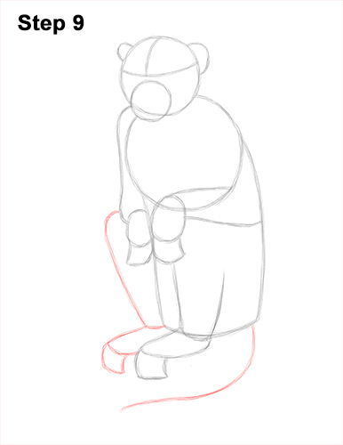 How to Draw a Rhesus Macaque Monkey Sitting 9